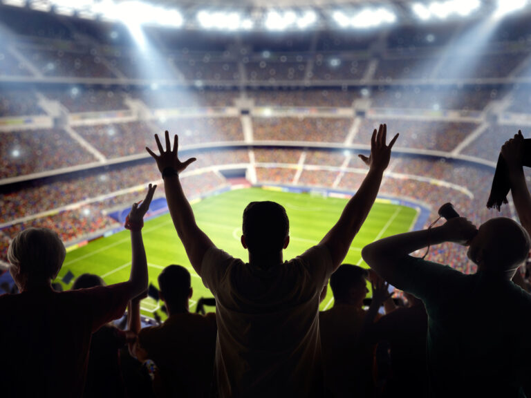 Thumbnail for Football Fan Fact-Finding: The Economics of Sporting Success