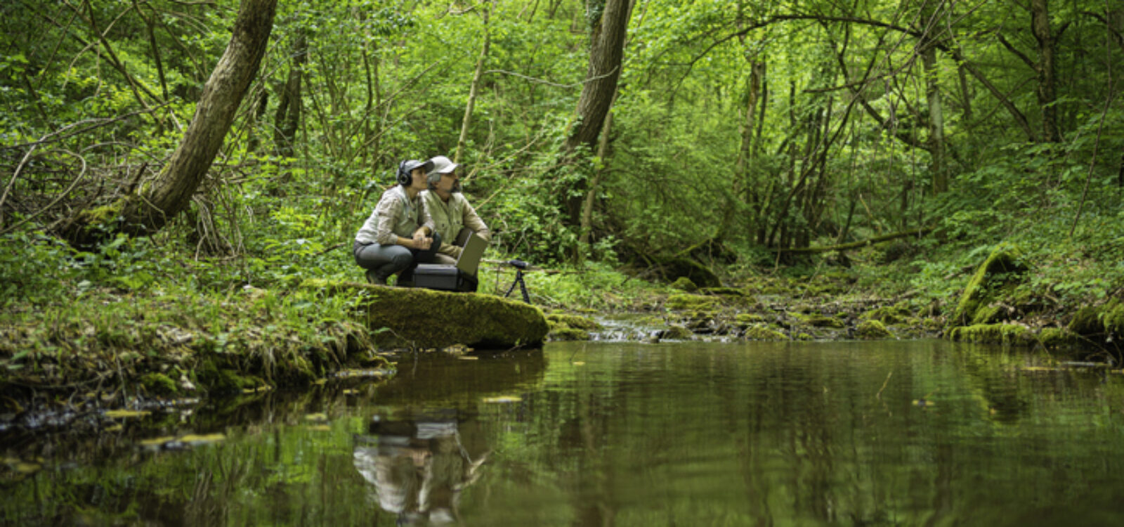 Taskforce for Nature-Related Financial Disclosures: What Actuaries Need to Know Taskforce for Nature-Related Financial Disclosures: What Actuaries Need to Know